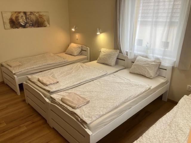 Palmy Apartmanhouse Maglod Buitenkant foto